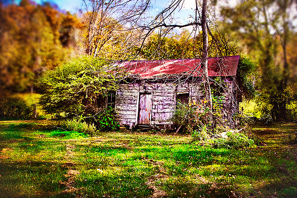 untitled-4047tilt shift blur