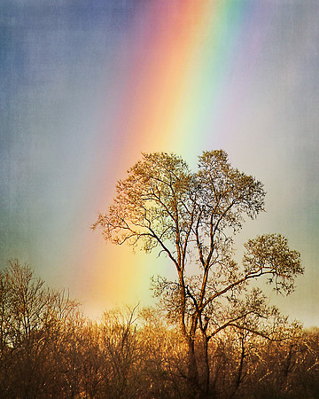rainbow2