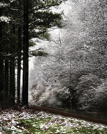 2020 Winter snow