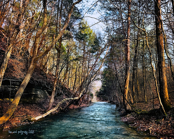 2018 creek in Lewis County TN