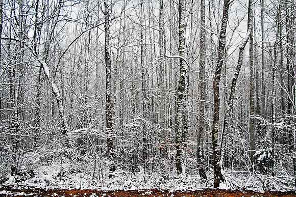 2020 Winter snow2