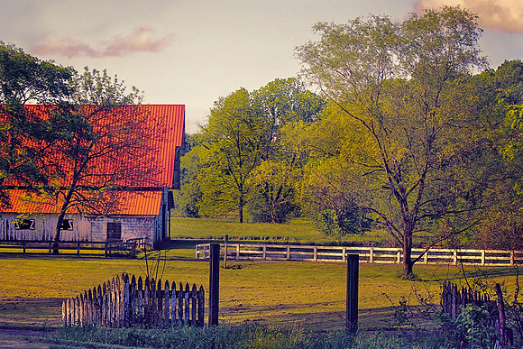 2019 Barn1