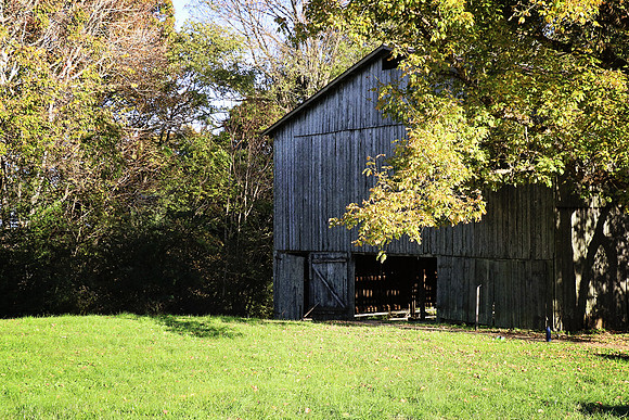 IMG_0377