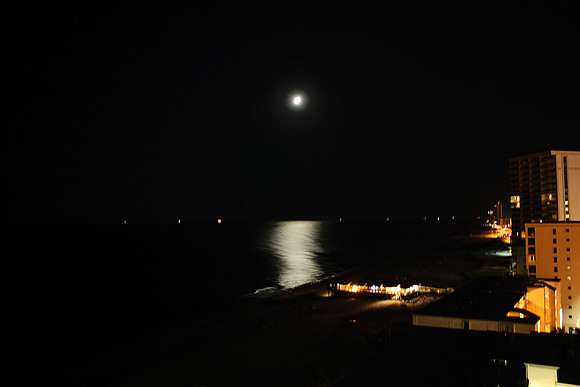 moon5613