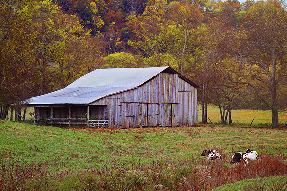 IMG_4876f