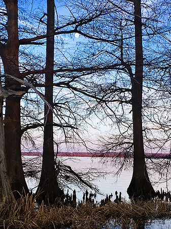 2020 Reelfoot Lake 1347