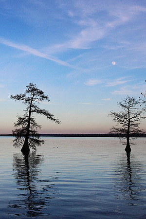 2020 Reelfoot Lake 4892