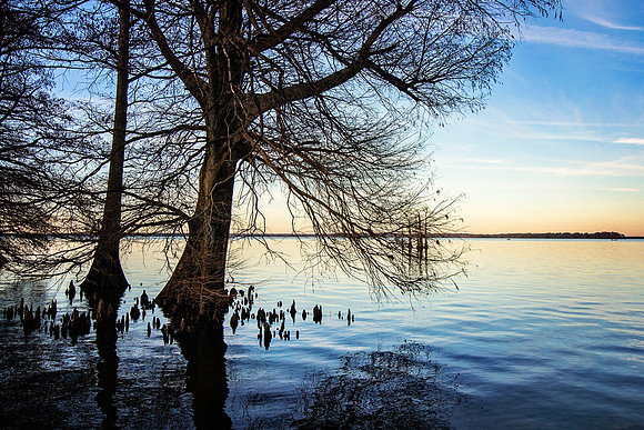 2020 Reelfoot Lake 4894