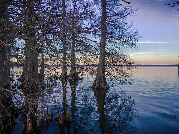 2020 Reelfoot Lake 1346