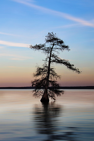 2020 Reelfoot Lake 4904b