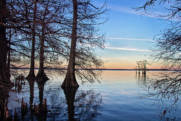 2020 Reelfoot Lake 4909