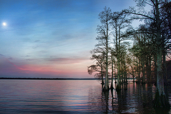 2020 Reelfoot Lake 4971