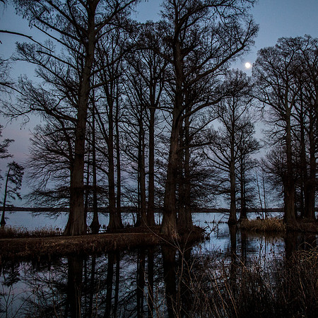 2020 Reelfoot Lake 4983