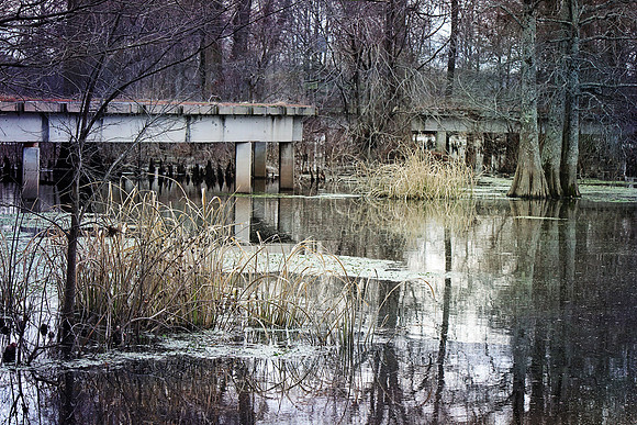 2020 Reelfoot Lake 5008