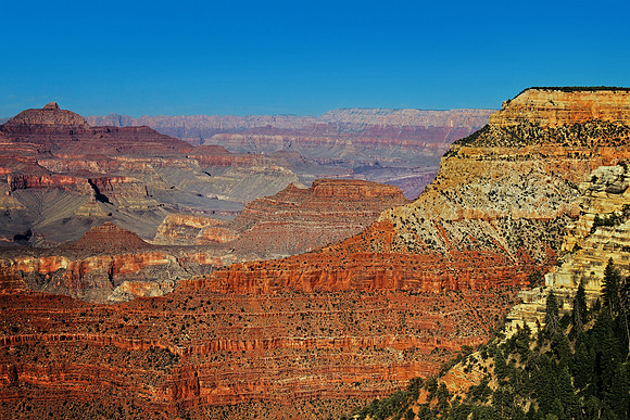 IMG_5709