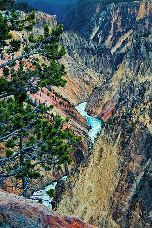 2020 Yellowstone Grand Canyon6474
