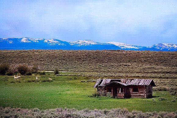 2020 Wyoming Cabin 6705