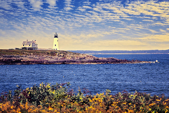2019 Maine Wood Island LH4633b